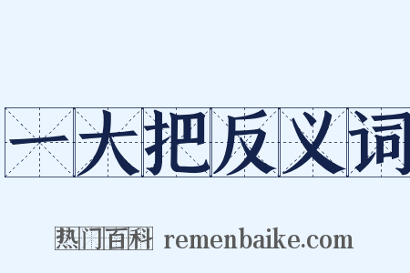 一大把反义词是什么意思的图片